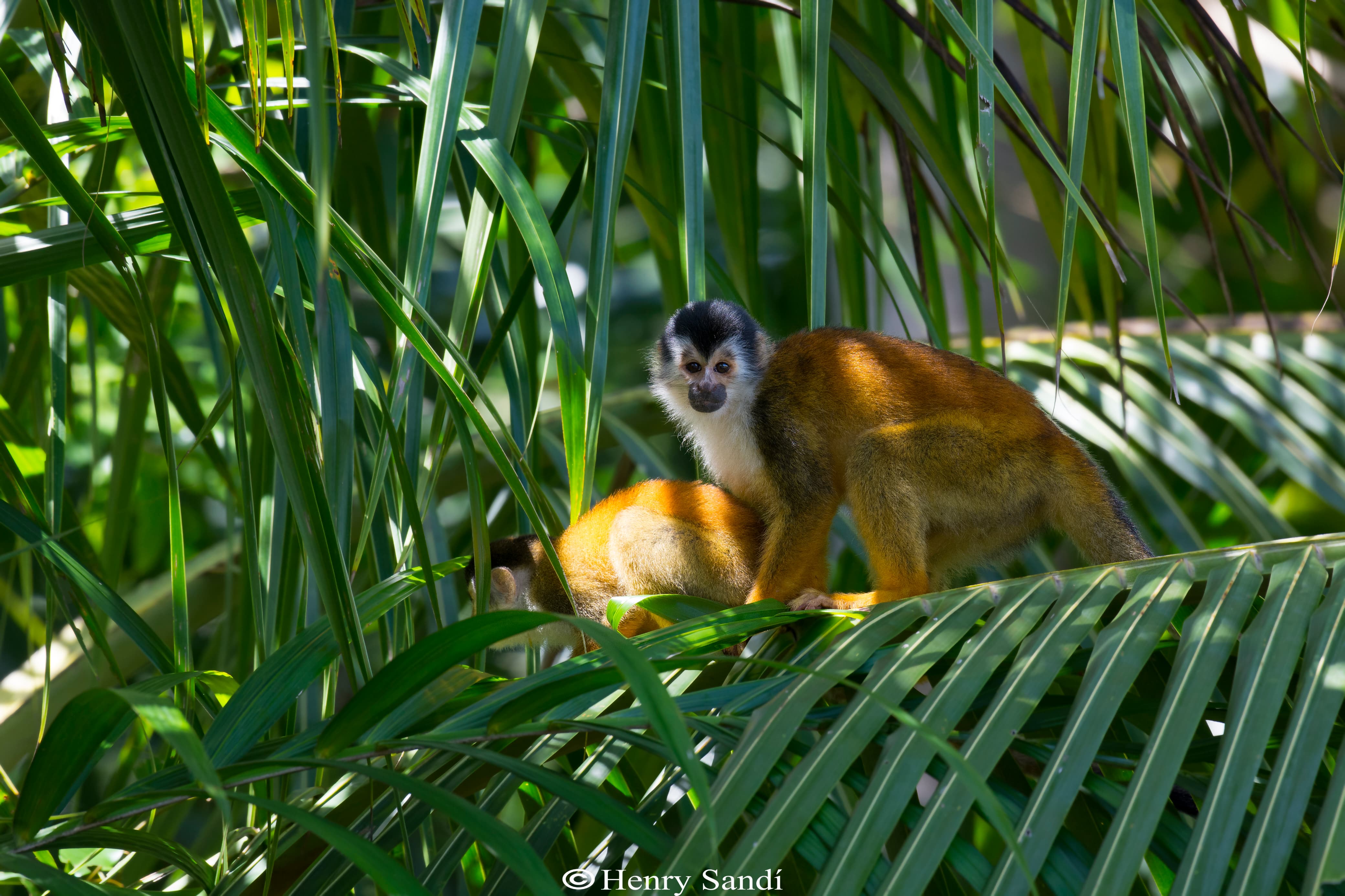 La Leona Nature Tour 
