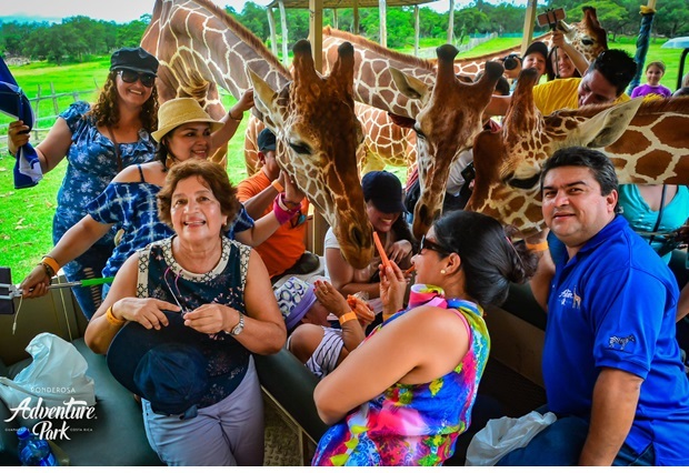 Ponderosa Adventure Park - Full  Day 