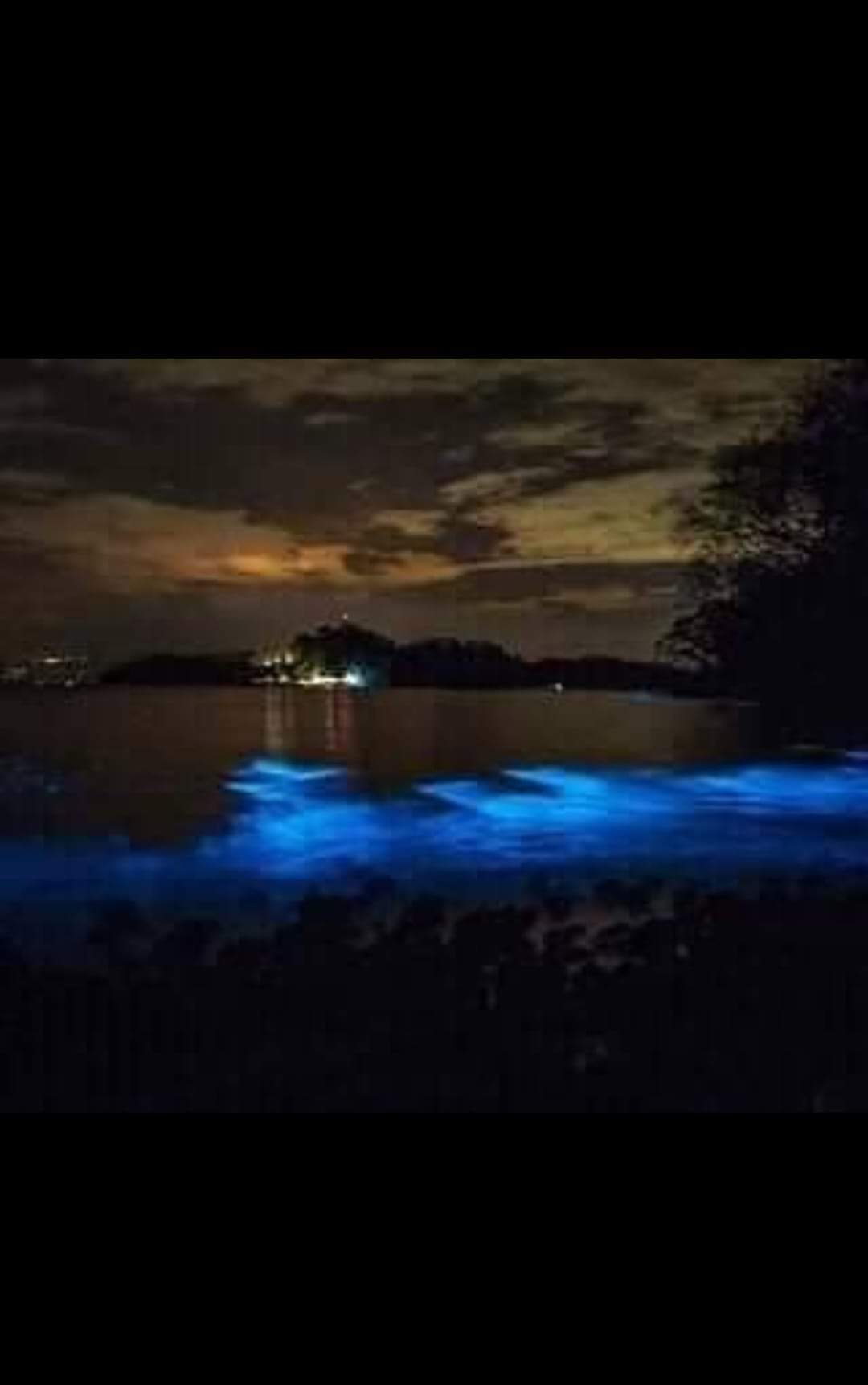 Tour Fotografico + Bioluminiscencia + Tour Histórico a San Lucas + Tiempo de Playa